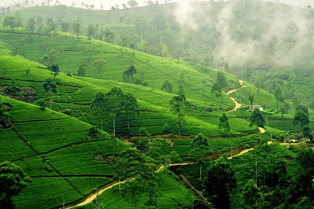 Sylhet City